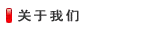 ɽERP aƷ